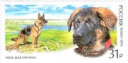 Полицейский пес Добрыня появился на почтовой марке